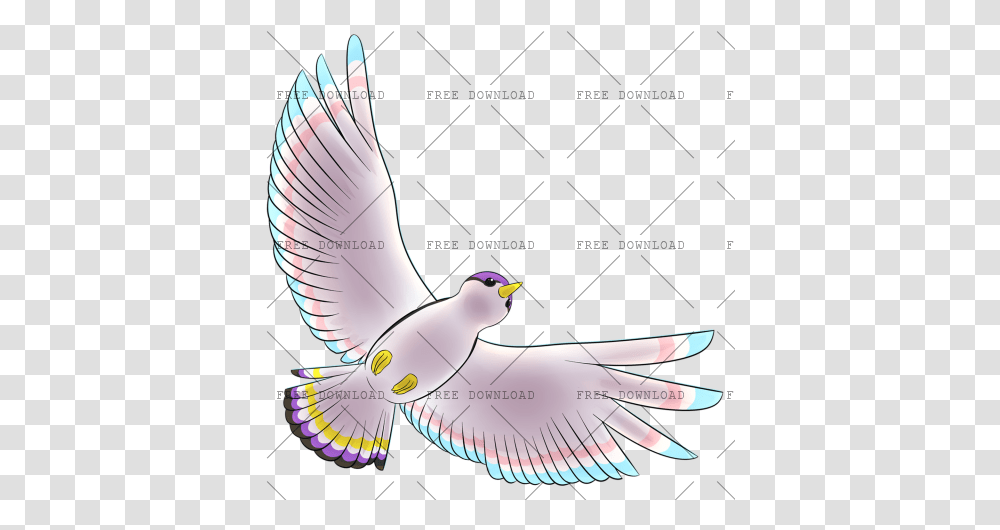 Dove Bird Image With Background Photo, Animal, Flying, Pigeon, Seagull Transparent Png