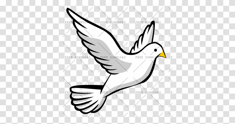 Dove Bird Image With Flying Bird Cartoon Drawing, Animal, Pigeon, Sea Life, Eagle Transparent Png