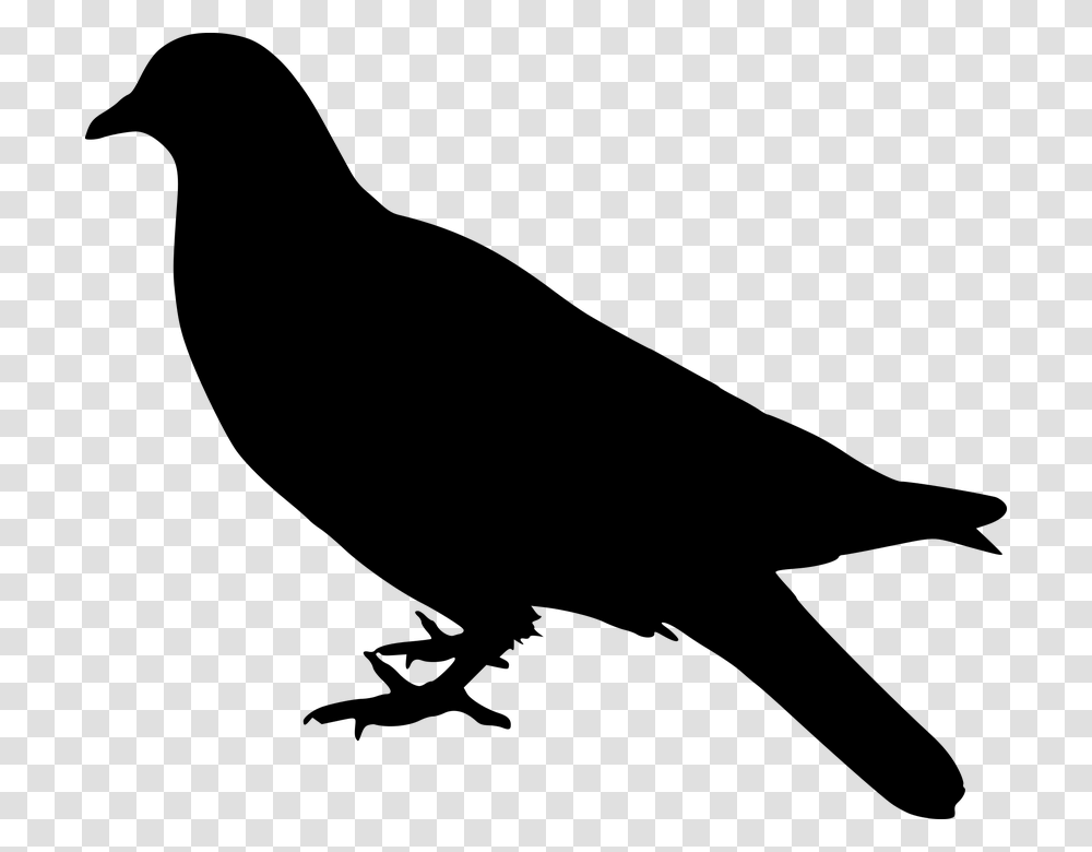 Dove Bird Silhouette Animal Avian Emblem Farm Bird Stand, Gray, World Of Warcraft Transparent Png