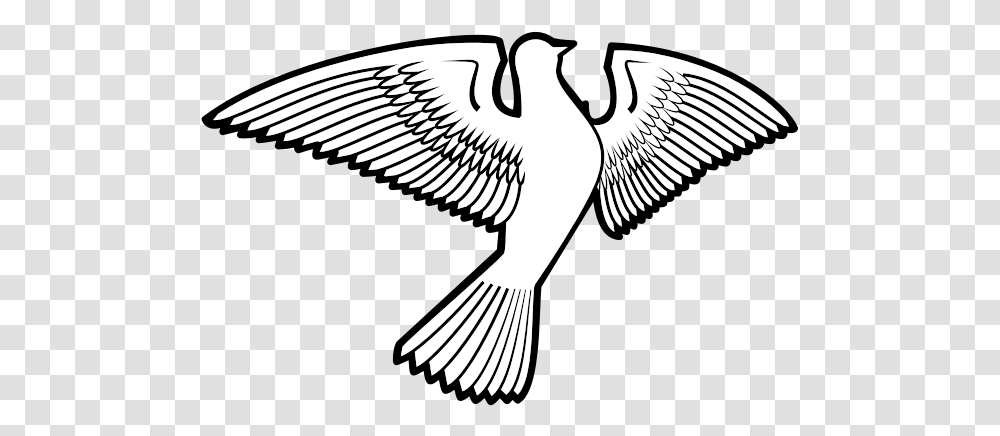 Dove Bird Silhouette Columbidae, Animal, Flying, Eagle, Symbol Transparent Png