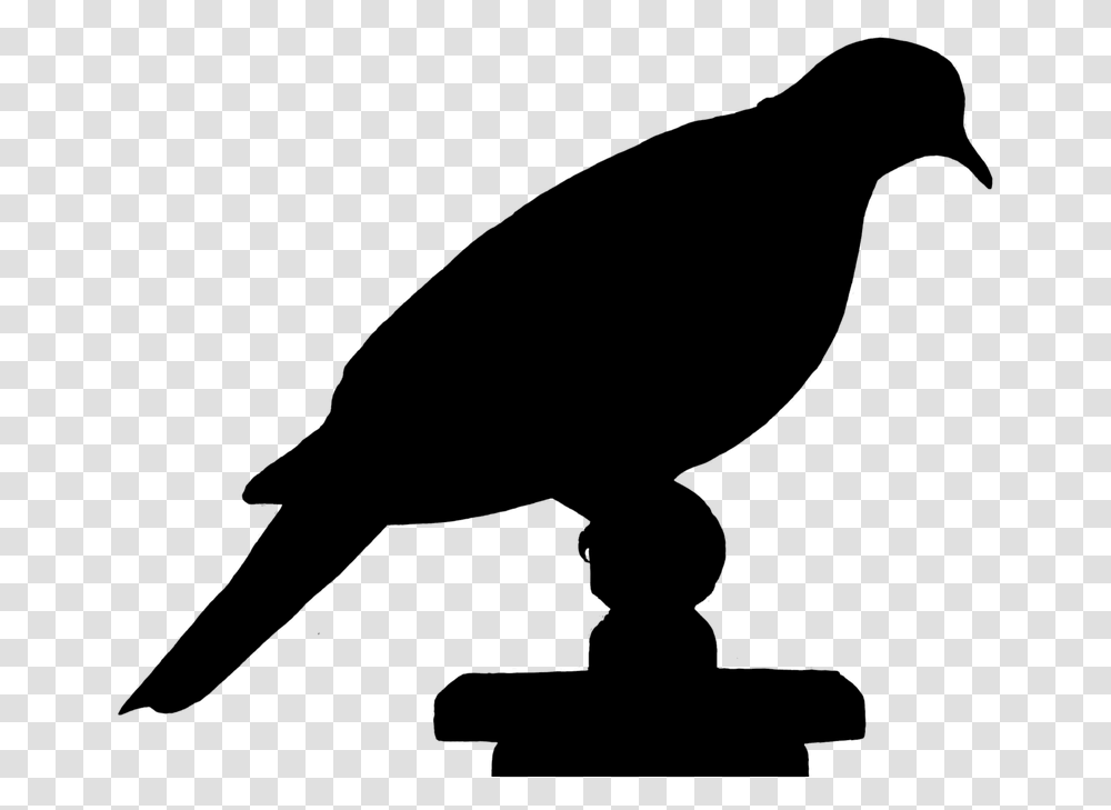 Dove Bird Silhouette Siluet Burung, Gray, World Of Warcraft Transparent Png