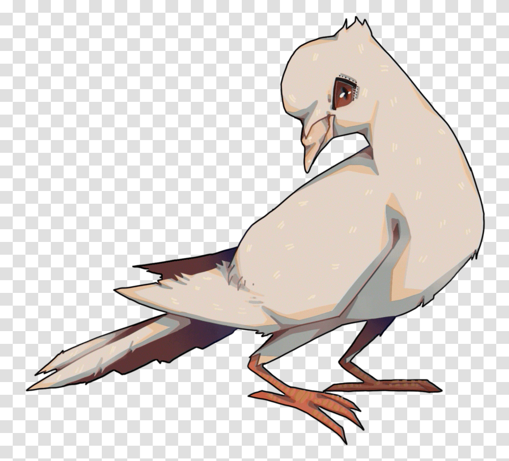 Dove Boy By Slugg O European Herring Gull, Helmet, Apparel, Animal Transparent Png