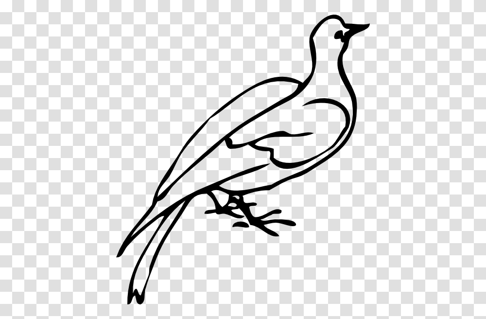 Dove Clip Art Free Vector, Animal, Lawn Mower, Tool, Bird Transparent Png