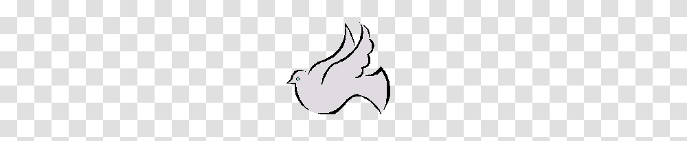 Dove Clip Art Serenity, Animal, Mammal, Bird, Person Transparent Png