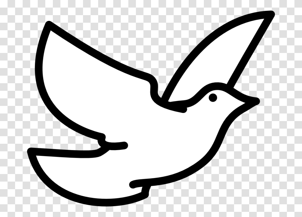 Dove Clip Art, Stencil, Bird, Animal, Blackbird Transparent Png