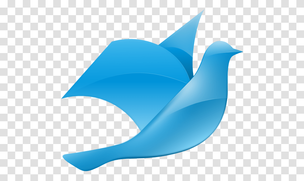 Dove Clip Arts Download, Blue Jay, Bird, Animal, Seagull Transparent Png