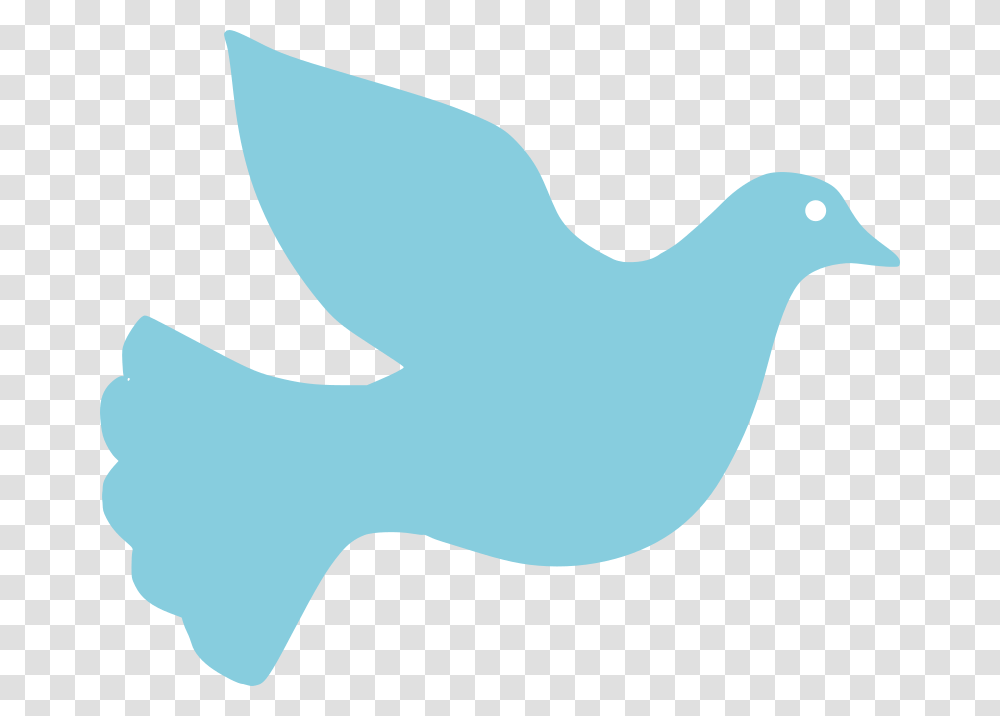 Dove Clipart, Animal, Bird, Pigeon Transparent Png