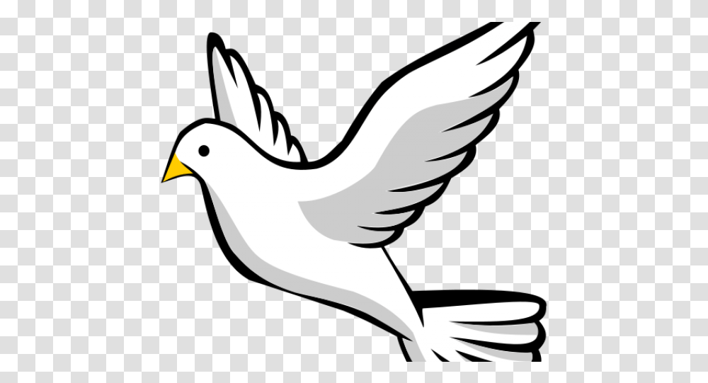 Dove Clipart Background, Bird, Animal, Flying, Pigeon Transparent Png