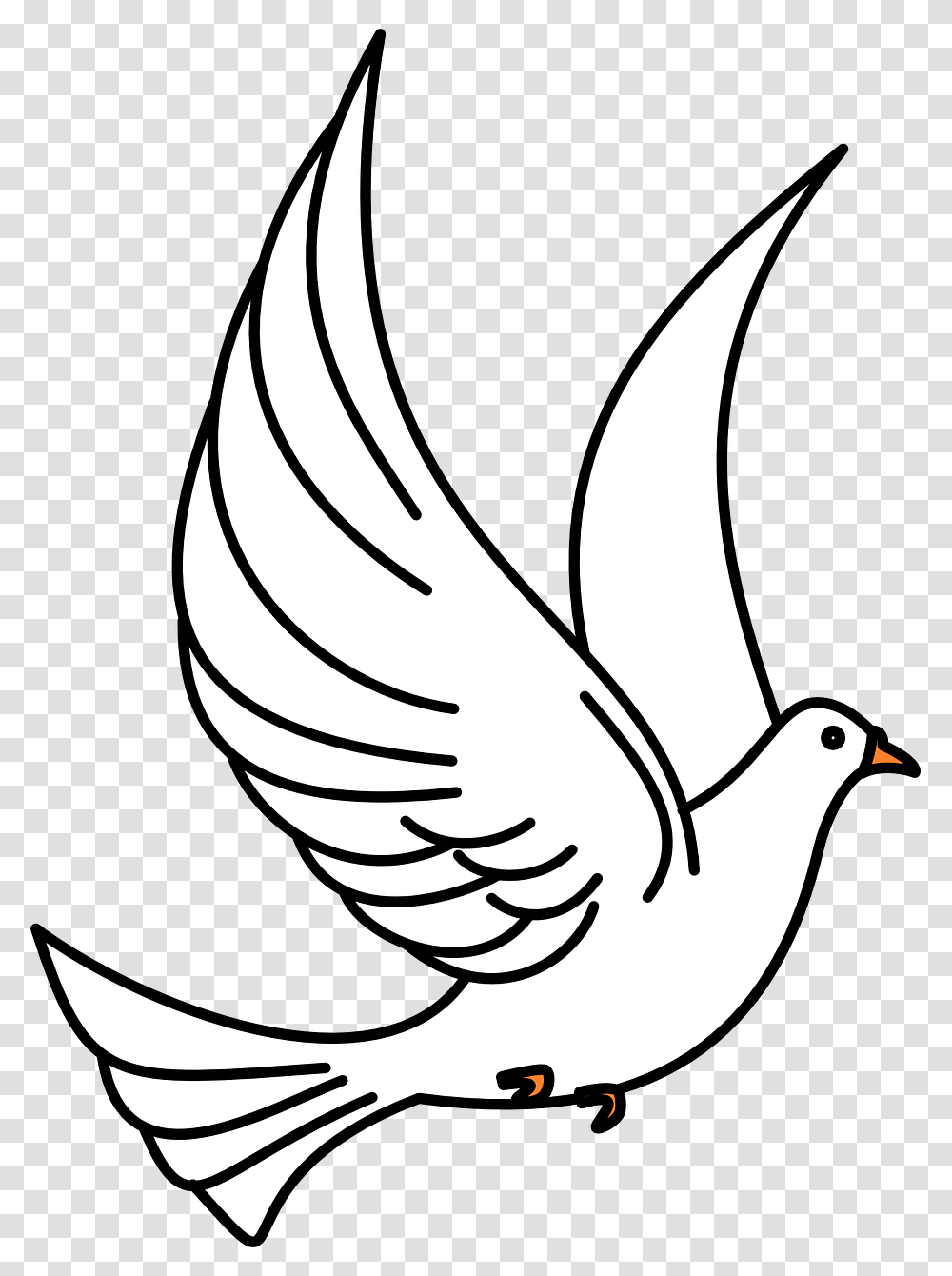 Dove Clipart, Bird, Animal, Pigeon Transparent Png