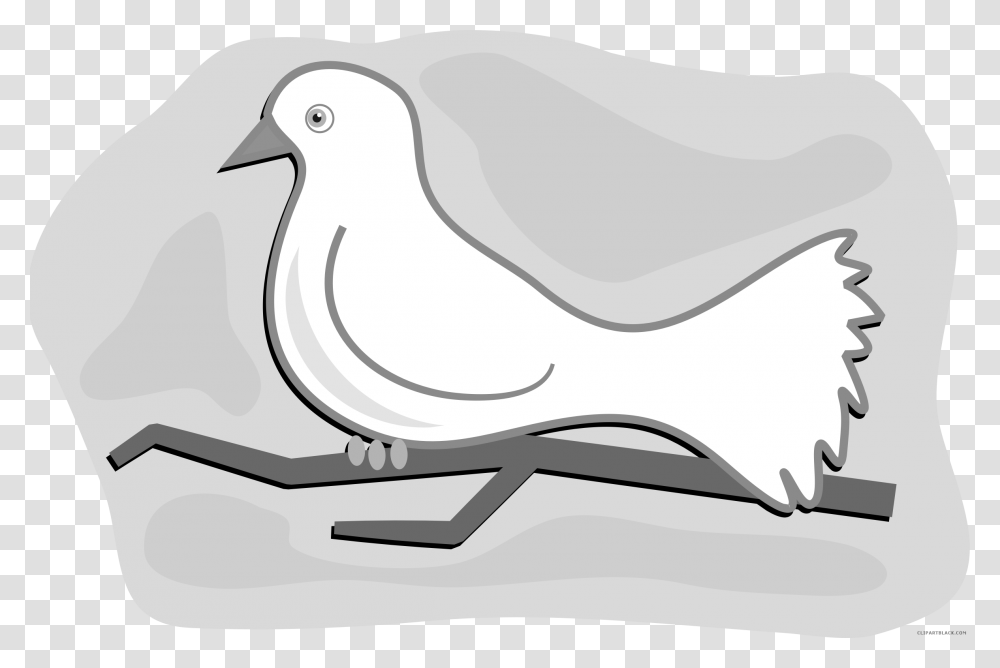 Dove Clipart Black And White Dove Clipart, Animal, Bird, Pigeon Transparent Png