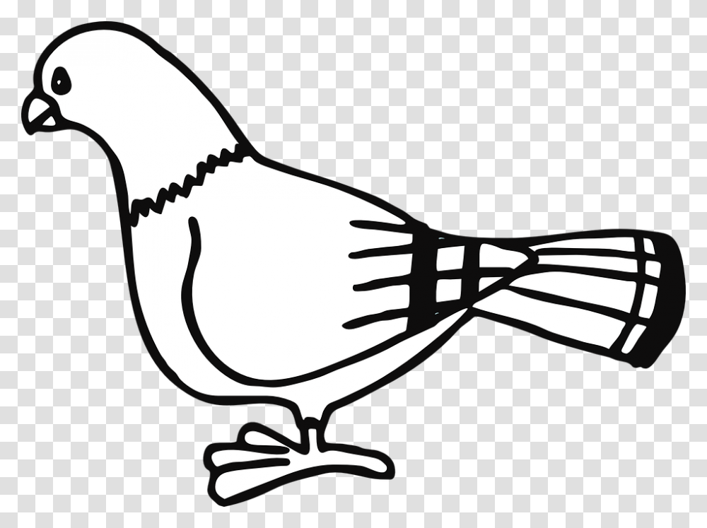 Dove Clipart Black And White, Sunglasses, Animal, Bird Transparent Png