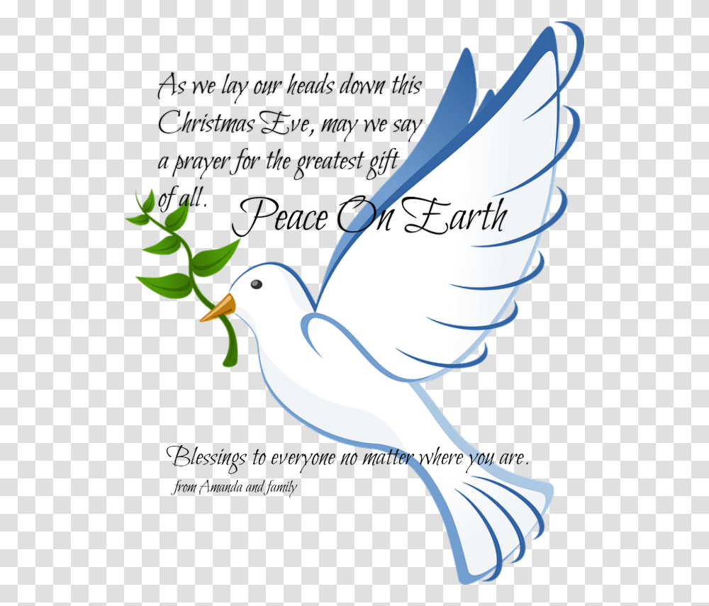 Dove Clipart Christmas Peace Batak Christian Protestant Church, Bird, Animal, Pigeon, Seagull Transparent Png