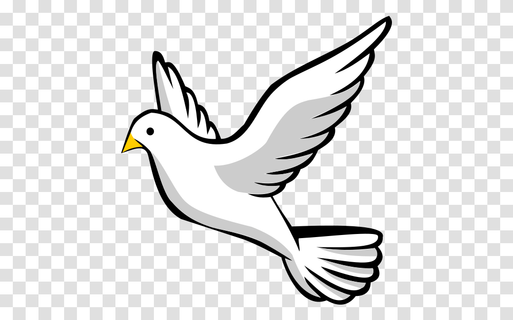 Dove Clipart Dove Clipart, Bird, Animal, Flying, Goose Transparent Png