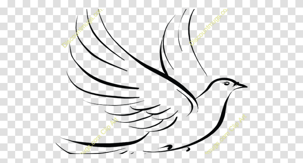 Dove Clipart Feather, Hand Transparent Png