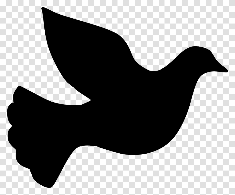 Dove Clipart, Gray, World Of Warcraft Transparent Png