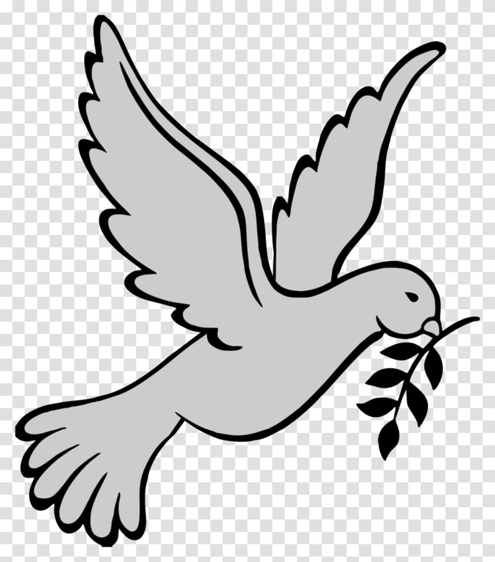 Dove Clipart Headstone Casa Maria De Magdala, Animal, Bird, Pigeon, Flying Transparent Png