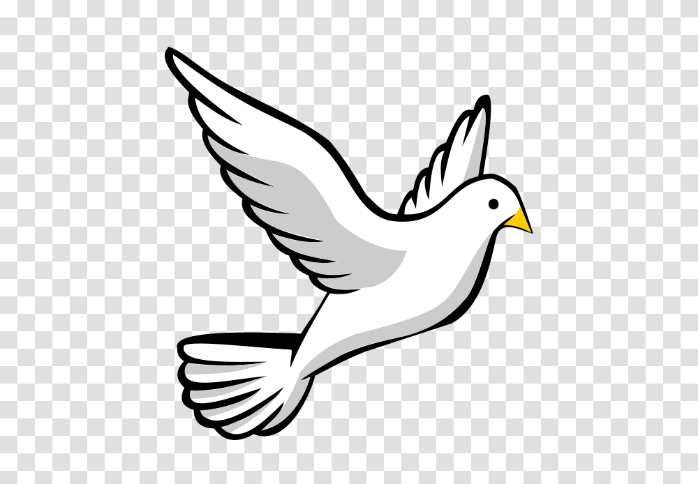 Dove Clipart No Background, Bird, Animal, Flying, Waterfowl Transparent Png