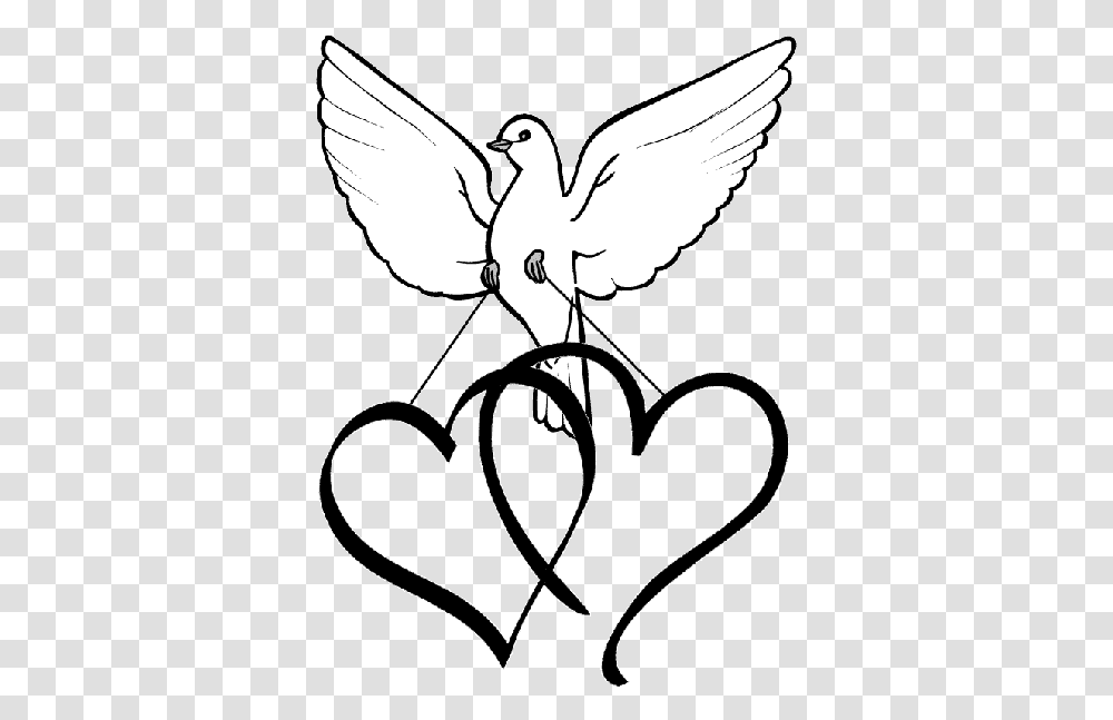 Dove Clipart No Background Free 3 Wikiclipart Name Of Love In Different Languages, Cupid, Stencil, Angel, Archangel Transparent Png