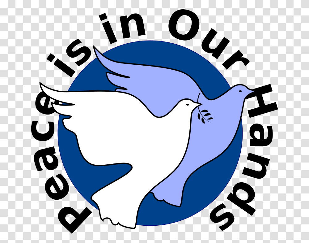 Dove Clipart Peace, Bird, Animal, Jay, Shark Transparent Png