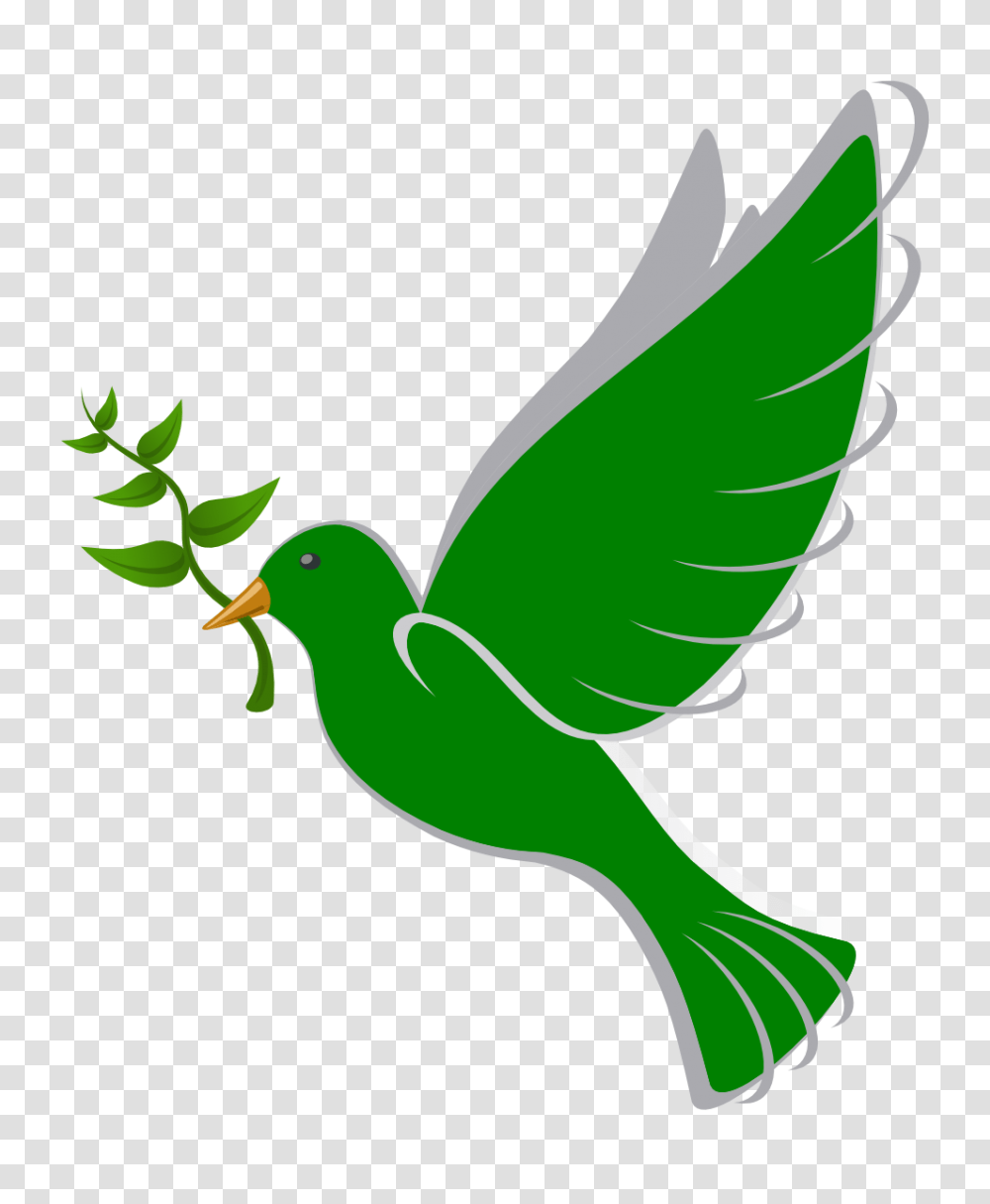 Dove Clipart Peace Dove, Jay, Bird, Animal, Logo Transparent Png
