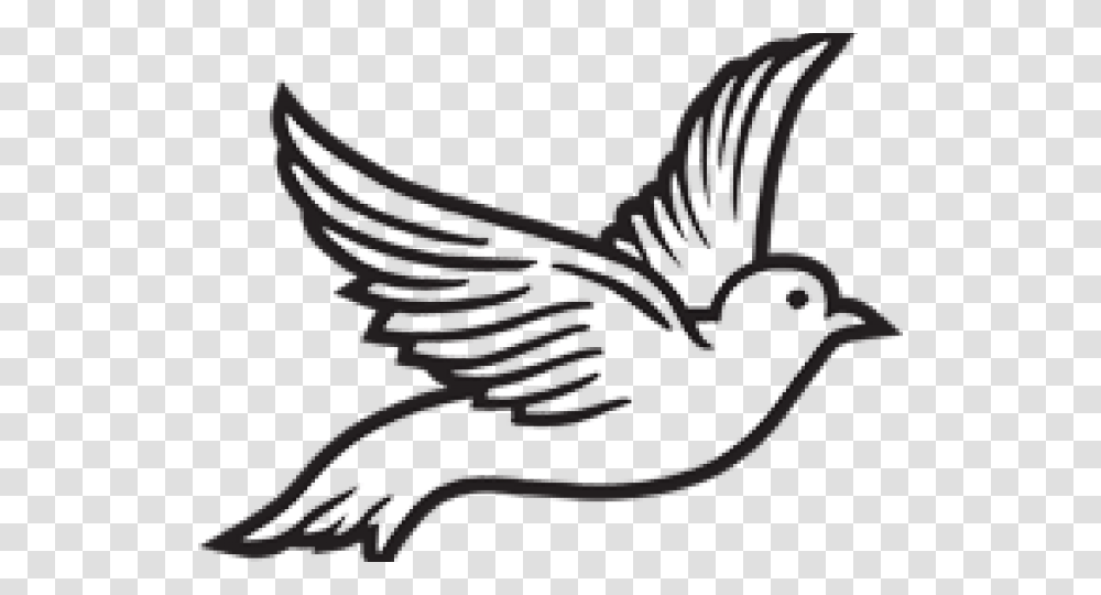 Dove Clipart Roman Catholic Dove Clipart Black And White, Animal, Bird, Logo Transparent Png