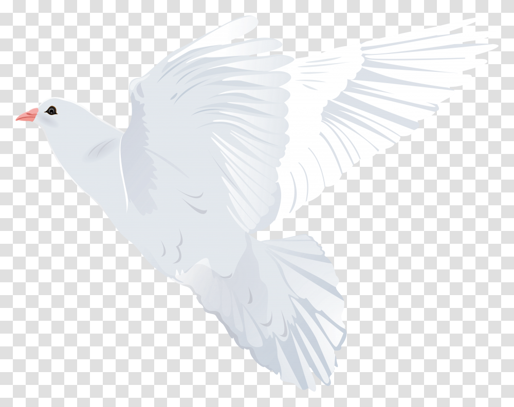 Dove Clipart White, Animal, Bird, Pigeon, Flying Transparent Png