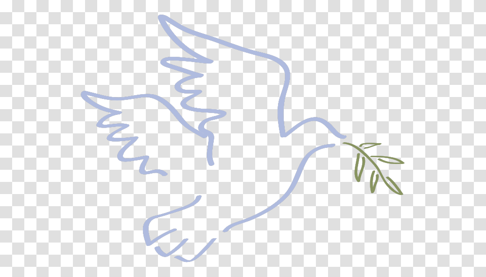 Dove Dove With Olive, Animal, Amphibian, Wildlife Transparent Png