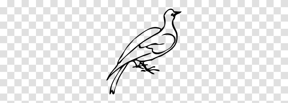 Dove Drawing Clip Art, Gray, World Of Warcraft Transparent Png