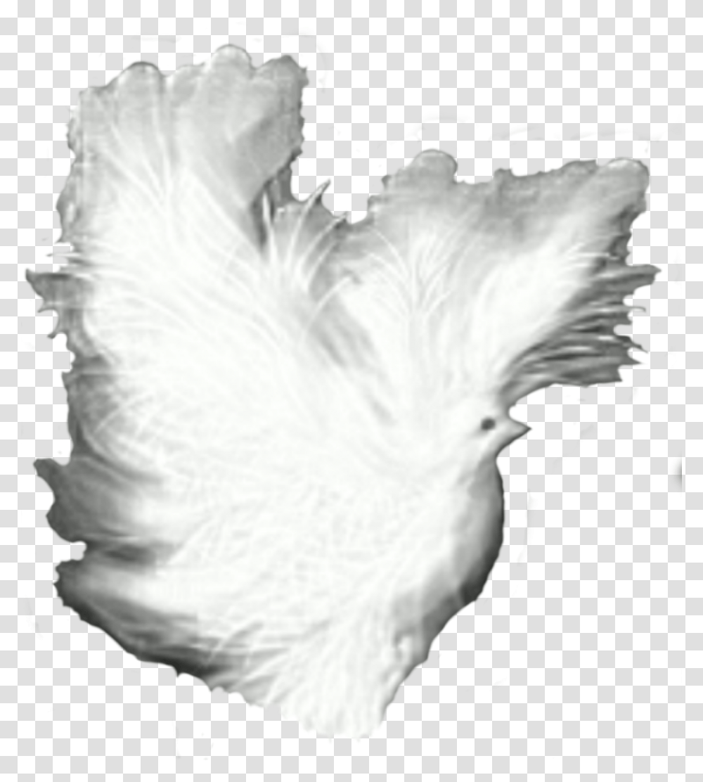 Dove Fantasy White Shadows Clip Arts Portable Network Graphics, Animal, Bird, Fowl, Poultry Transparent Png