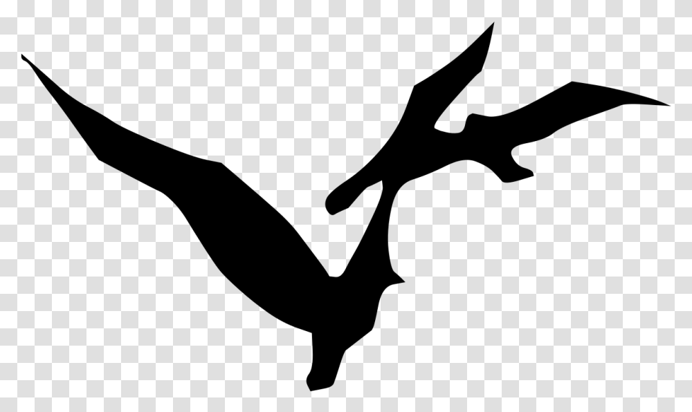 Dove Flying, Gray, World Of Warcraft Transparent Png