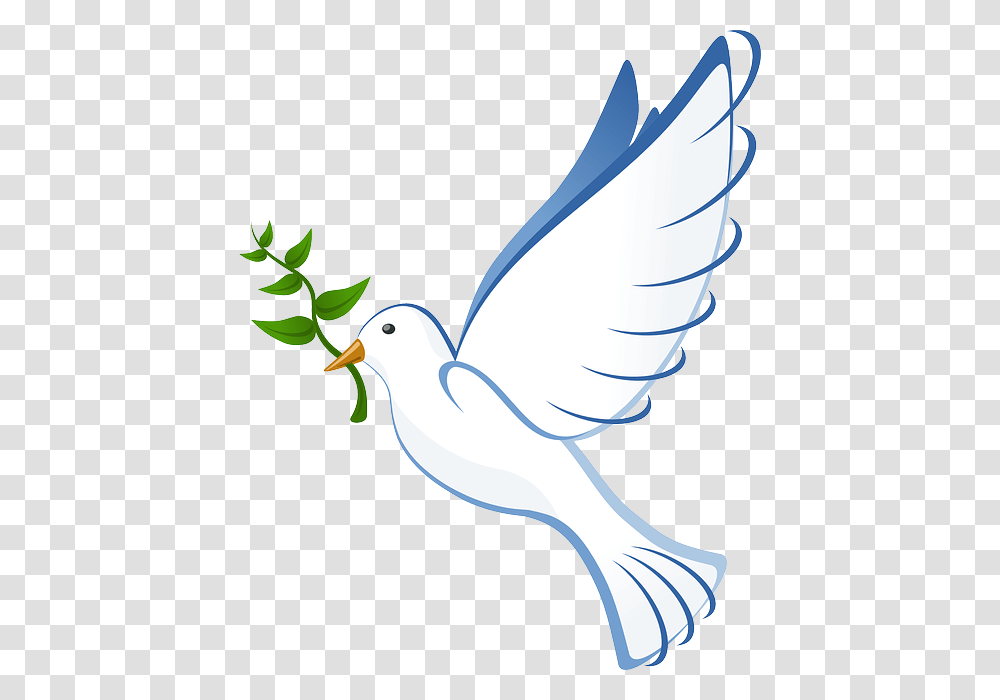 Dove Flying Peace Olive Branch Symbol Pigeon Paloma De La Paz, Bird, Animal Transparent Png