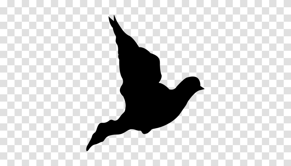 Dove Flying Sequence, Silhouette, Bird, Animal, Stencil Transparent Png