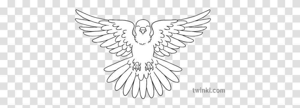 Dove Flying White Bird Peace Symbol Ks1 Black And Snapper Black And White, Eagle, Animal, Jay, Magpie Transparent Png