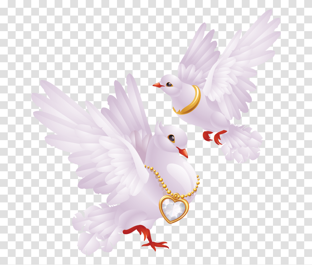 Dove For Wedding, Bird, Animal, Pigeon Transparent Png