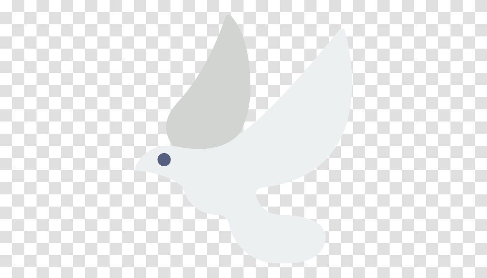 Dove Icon, Bird, Animal, Pigeon, Sock Transparent Png