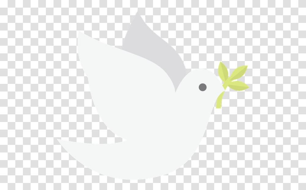 Dove Icon, Bird, Animal, Canary Transparent Png