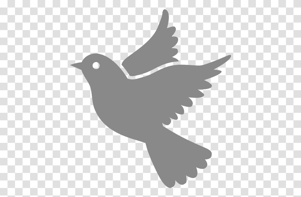 Dove Icon Image Flying Love Birds Drawing, Animal, Pigeon Transparent Png