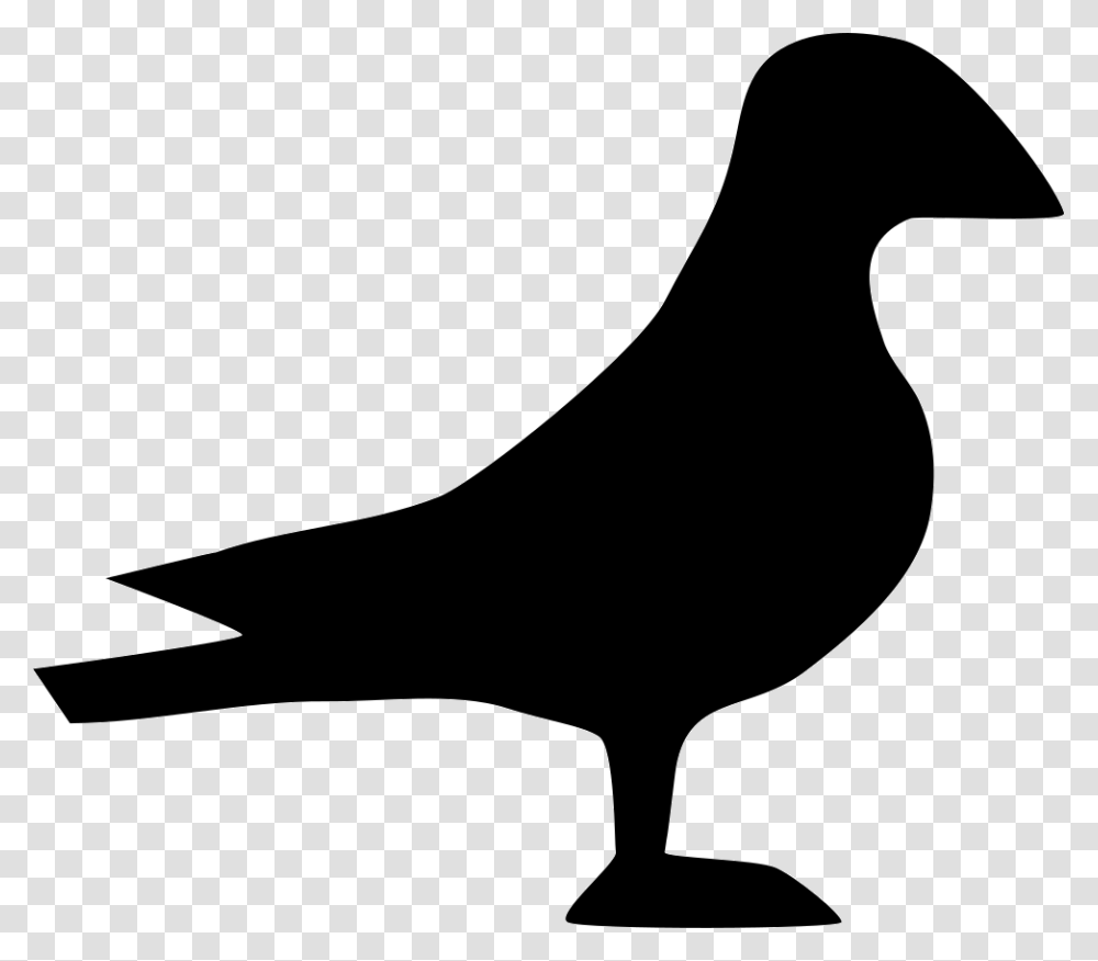 Dove Illustration, Silhouette, Bird, Animal, Pigeon Transparent Png