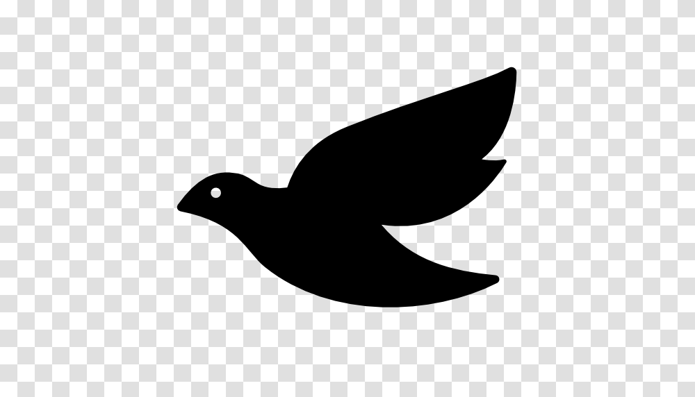 Dove Image Royalty Free Stock Images For Your Design, Silhouette, Bird, Animal, Shark Transparent Png