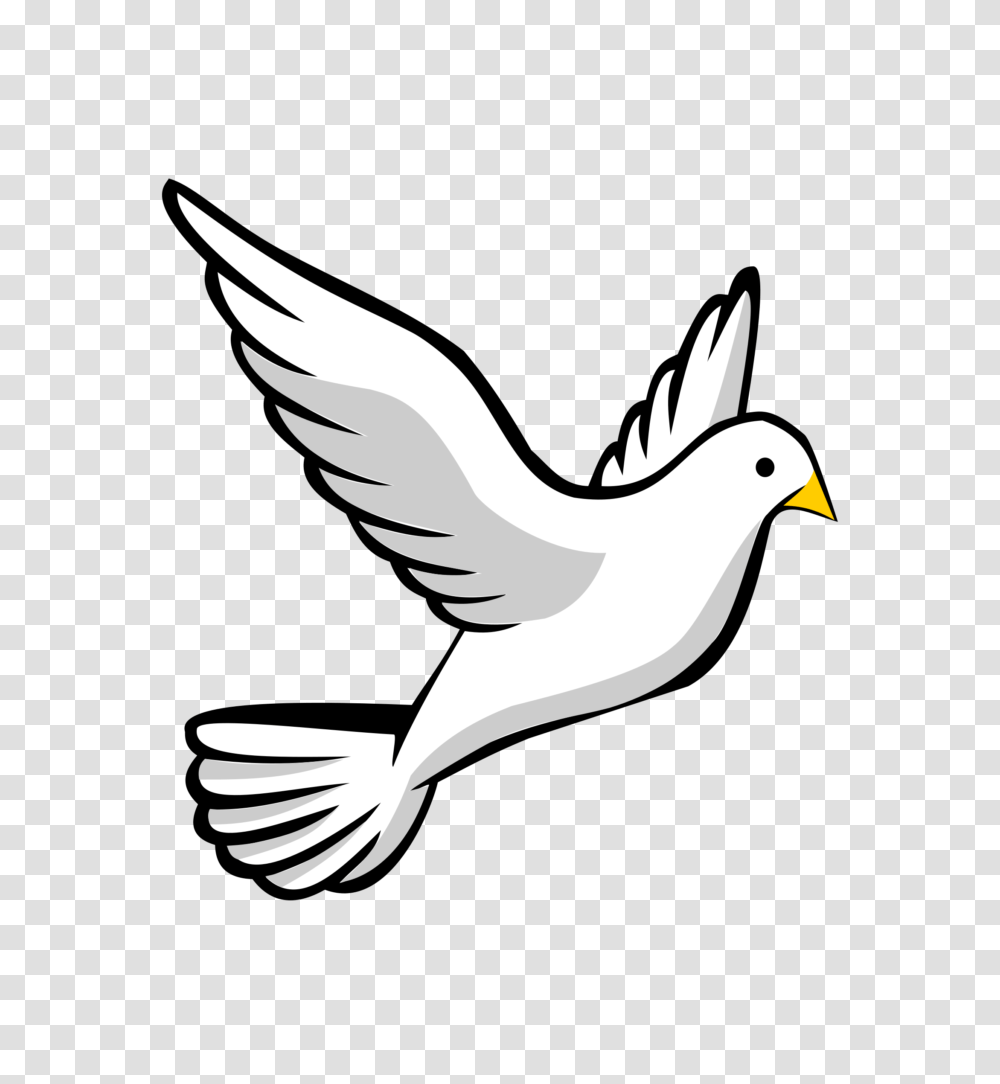 Dove Images Clip Art Rainbow Clipart, Bird, Animal, Flying, Sea Life Transparent Png