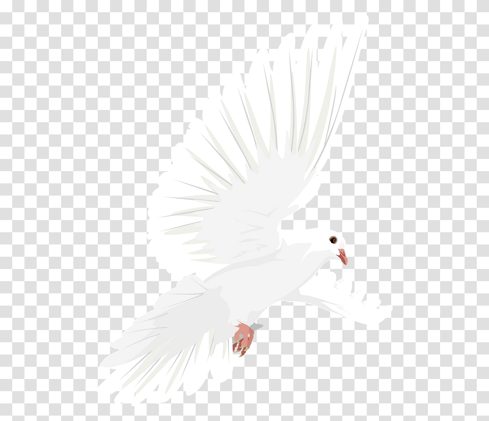 Dove In Flight Clipart Free Download White Birds, Animal, Pigeon Transparent Png