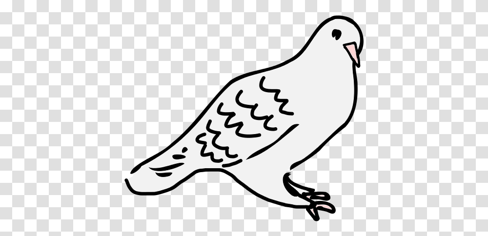 Dove Is Sitting Sitting Dove Clipart Black And White, Bird, Animal, Pigeon Transparent Png