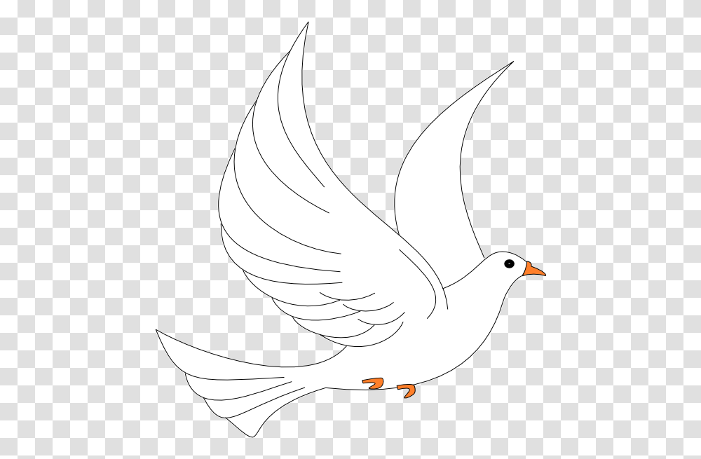 Dove Landing, Bird, Animal, Pigeon Transparent Png