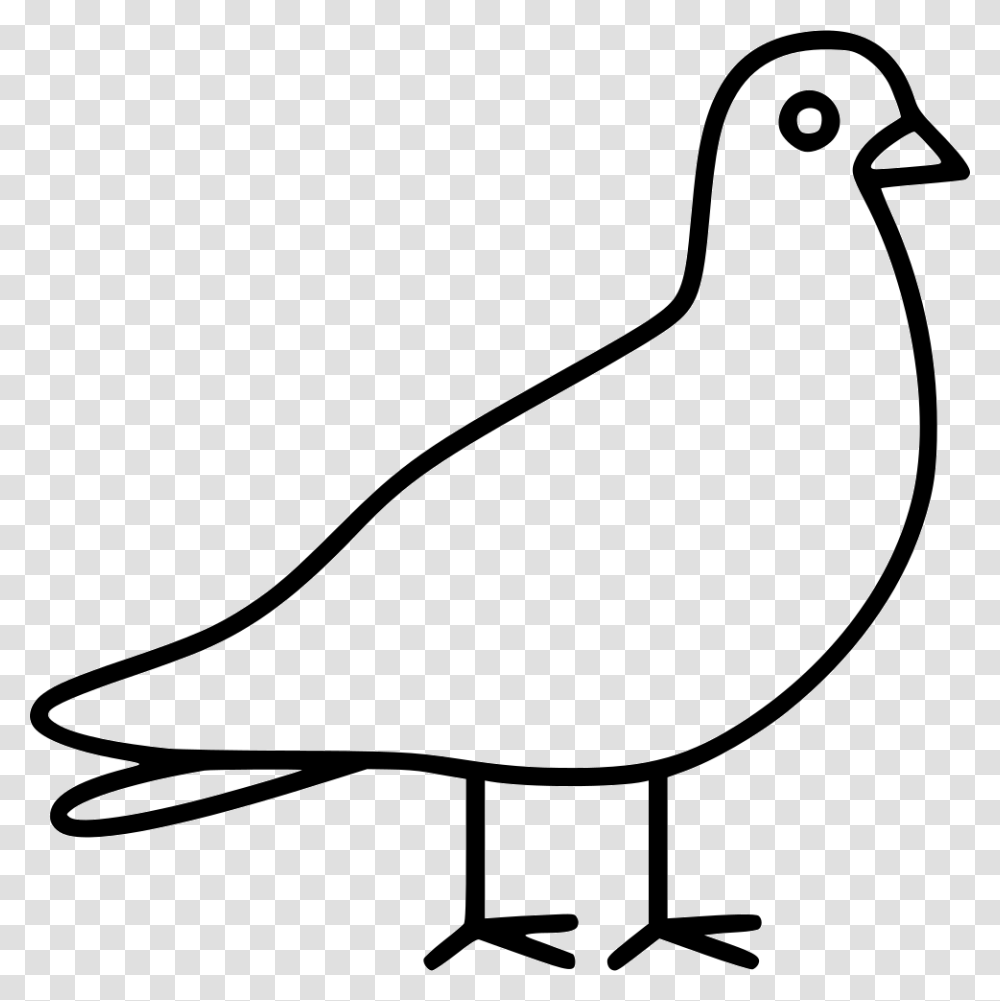 Dove Line Art, Bird, Animal, Quail, Pigeon Transparent Png