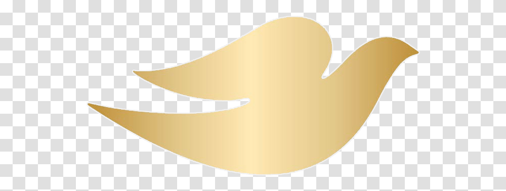 Dove Logo Illustration, Clothing, Outdoors, Plant, Nature Transparent Png