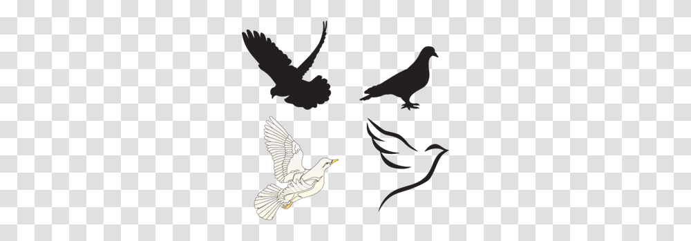 Dove Logo Vectors Free Download, Bird, Animal, Pigeon, Flying Transparent Png