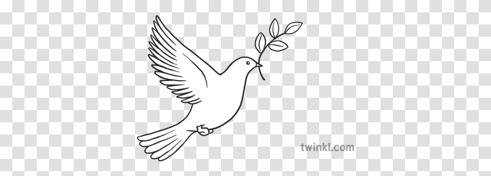 Dove Peace Emoji Twinkl Newsroom Ks2 Language, Bird, Animal, Stencil, Pigeon Transparent Png
