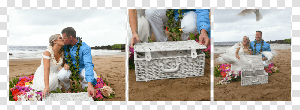 Dove Release Garden Roses, Person, Plant, Basket, Bird Transparent Png