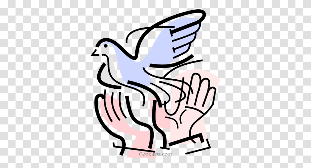 Dove Royalty Free Vector Clip Art Illustration, Bird, Animal, Seagull Transparent Png