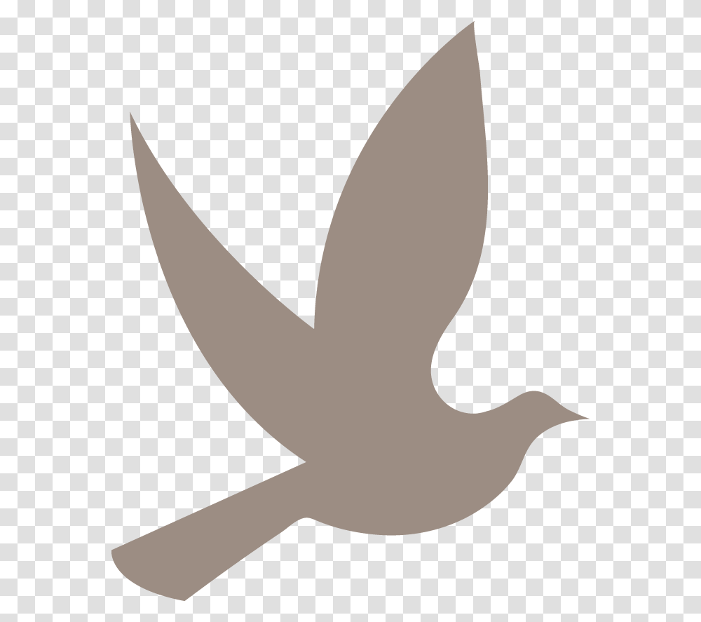 Dove, Stencil, Silhouette Transparent Png